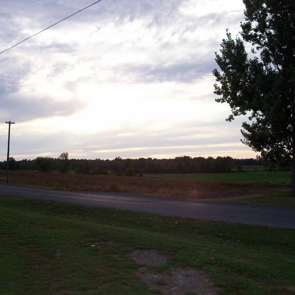 Meet your Posher, Daniel - Picture 1 of 1